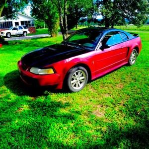 Meet your Posher, Kenneth